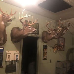 Meet your Posher, Andy